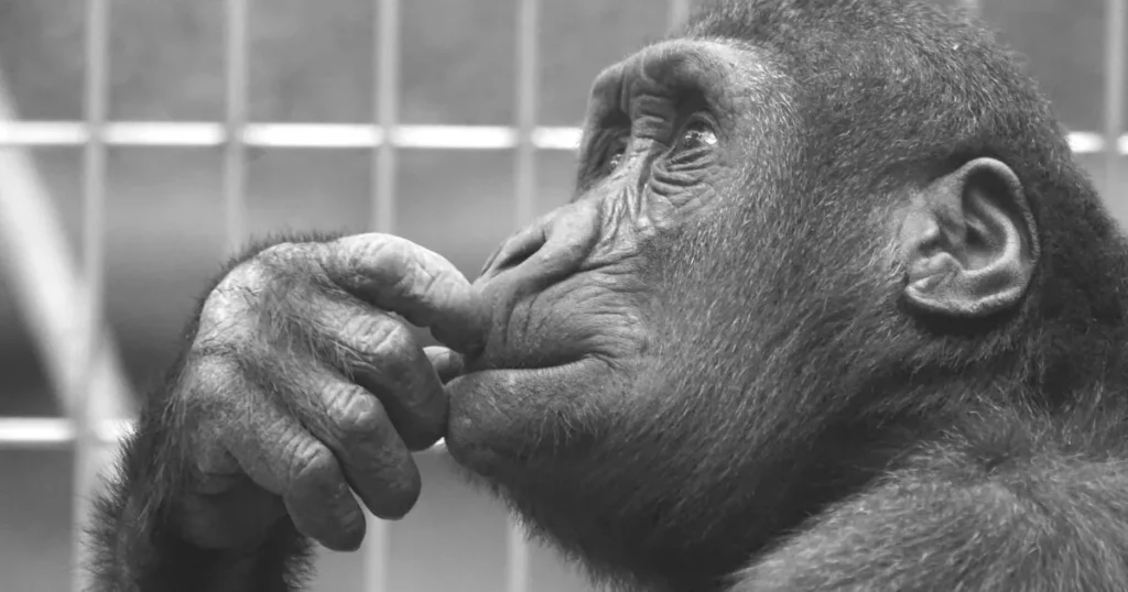 Critical Thinking Is Not A Fallacy (1)